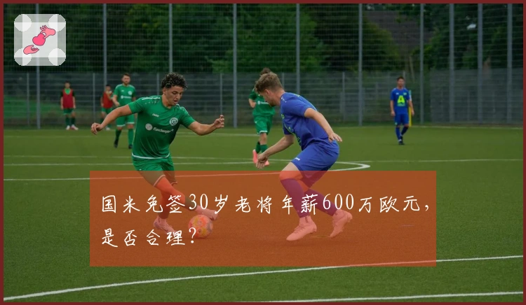 国米免签30岁老将年薪600万欧元，是否合理？