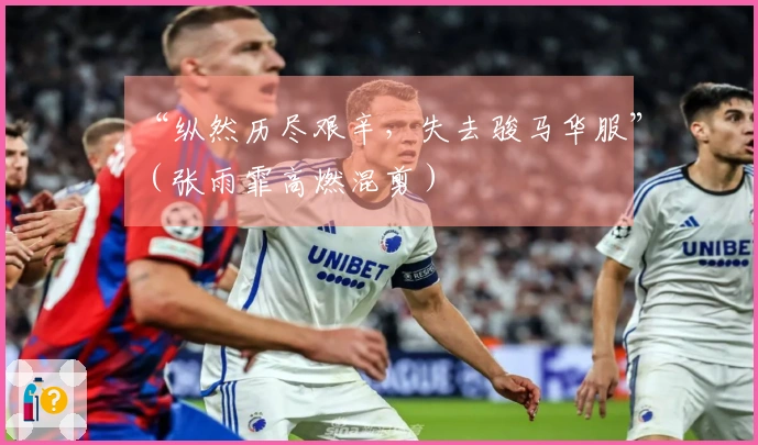 “纵然历尽艰辛，失去骏马华服”（张雨霏高燃混剪）