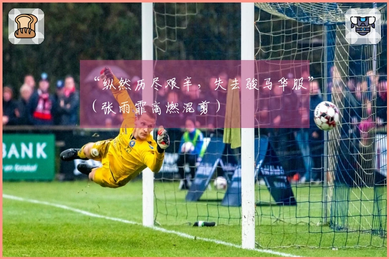 “纵然历尽艰辛，失去骏马华服”（张雨霏高燃混剪）